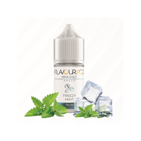 Flavourage Freezy Mint - Mini Mix 10+10