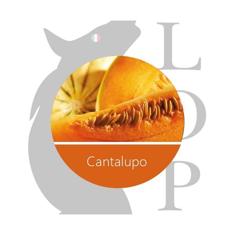 LOP Aroma Cantalupo