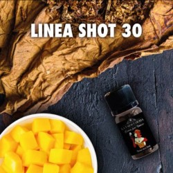 La Tabaccheria- Extra Dry 4Pod - Mango delle Indie - Minishot 10+20ml
