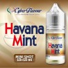 Cyber Flavour Havana Mint - Mini Shot 10+10