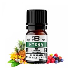 TOB 3.0 aroma Hydra - 10ml