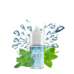 Flavourage Freezy Mint Blast - Mini Mix10+10