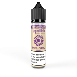 Vaporificio - Mind Soul - Kentucky Plum Mix And Vape 20ml