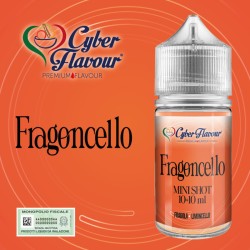 Cyber Flavour - Fragoncello - Mini Mix 10+10ml