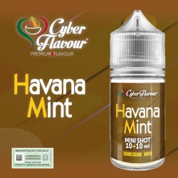 Cyber Flavour - Havana Mint - Mini Mix 10+10ml