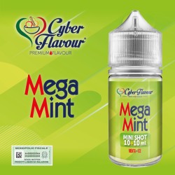 Cyber Flavour - Mega Mint - Mini Mix 10+10ml