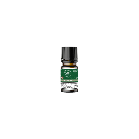 99 Clouds - Latakya Dinamizzati - aroma 10 ml